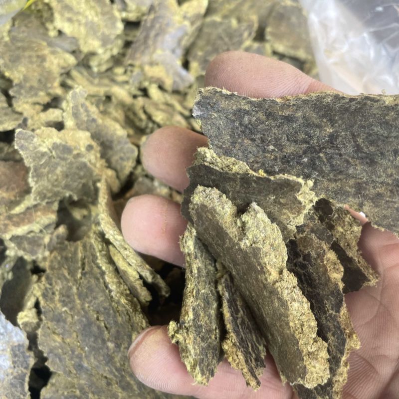 棉籽饼有机底肥，产地直发，量大实惠，快来选购吧