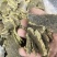 棉籽饼有机底肥，产地直发，量大实惠，快来选购吧