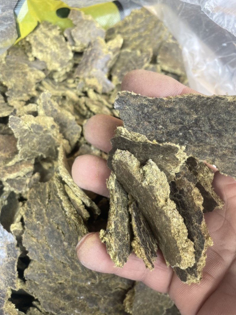 棉籽饼有机底肥，产地直发，量大实惠，快来选购吧