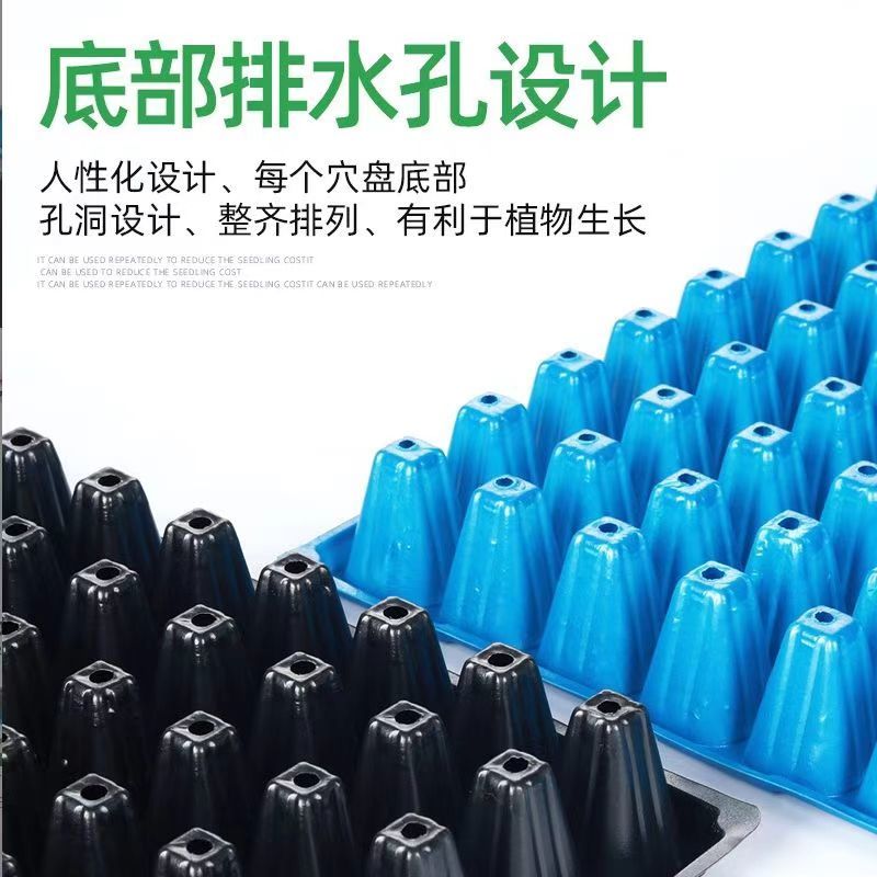 加深穴盘30孔50孔加深草莓培育盘厂家直销育苗容器