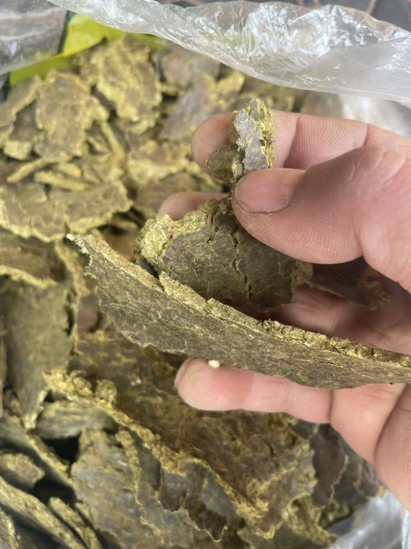 厂家常年直销有机底肥棉籽饼批发，快来选购！