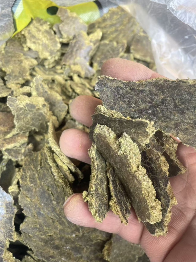 厂家常年直销有机底肥棉籽饼批发，快来选购！