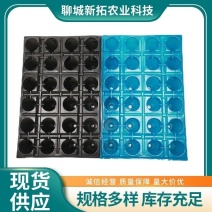 24孔位穴盘滴灌盘草莓专用育苗穴盘圆孔穴盘厂家直销