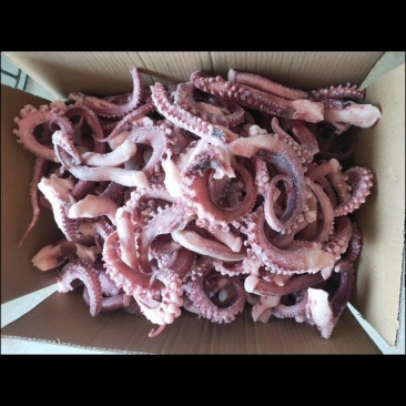 章鱼足
