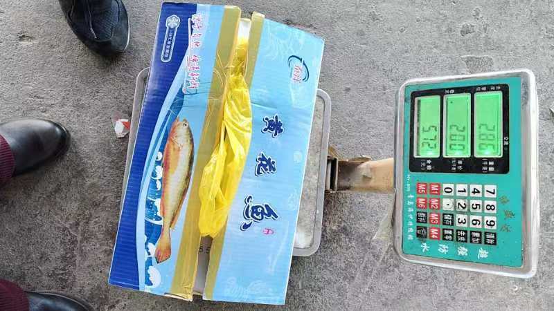 黄花鱼一吨起批全国各地均可冷链车直达整车更优惠