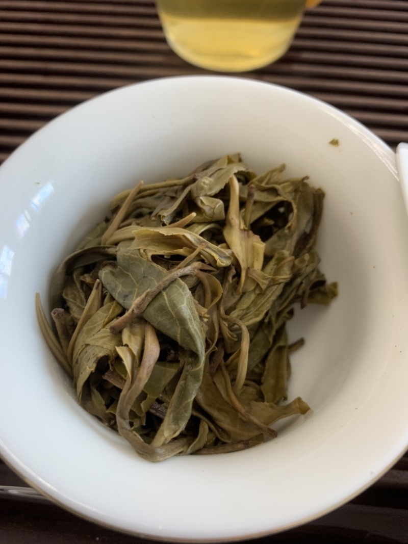普洱茶古树茶古树大树混采春茶