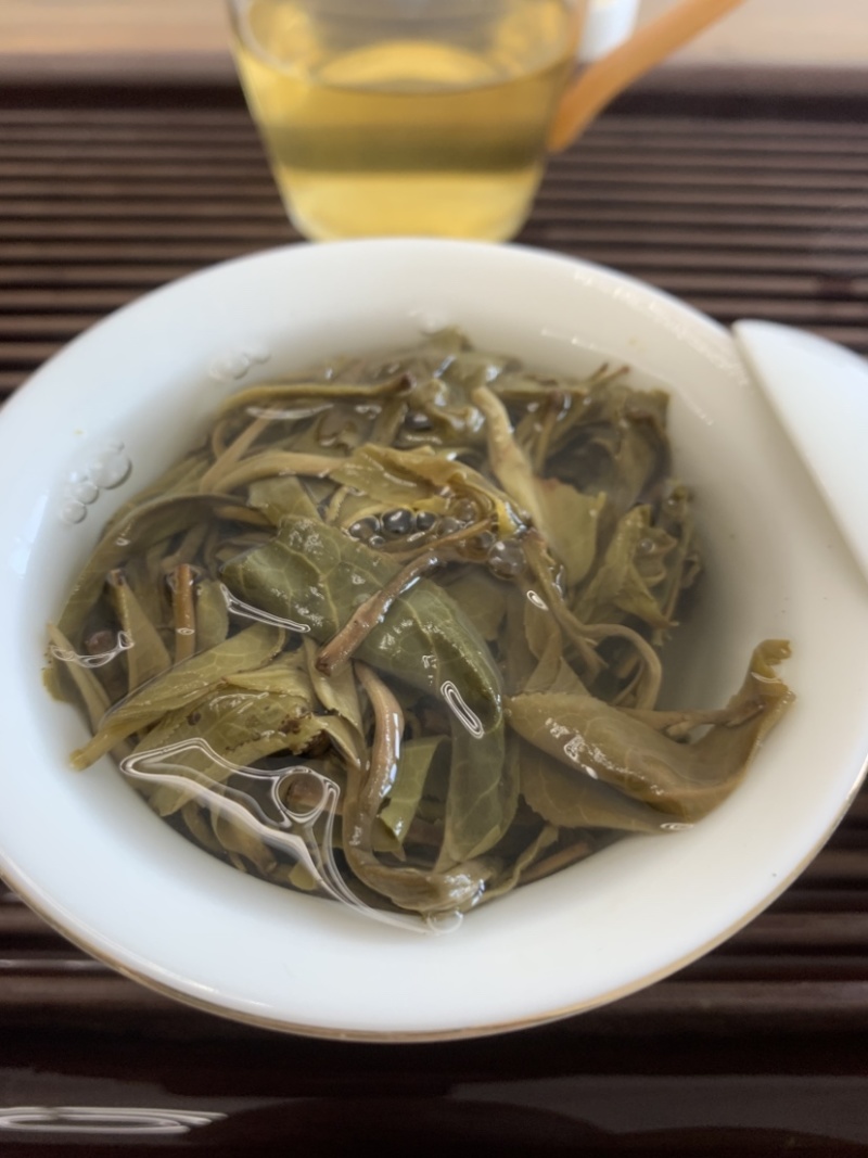 普洱茶古树茶古树大树混采春茶