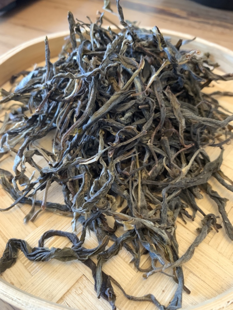 普洱茶古树茶古树大树混采春茶