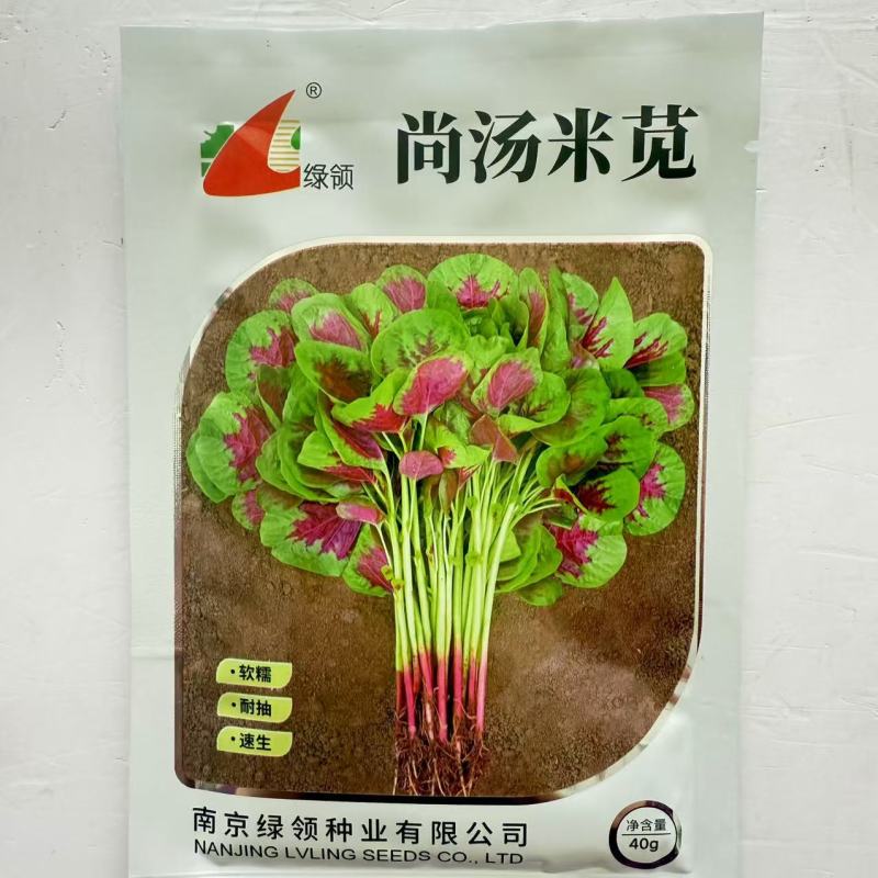 绿领尚汤米苋苋菜种子早熟耐热耐旱红苋菜种子圆叶白梗质嫩