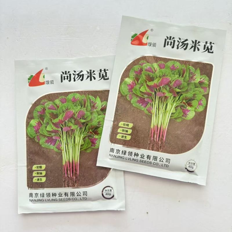 绿领尚汤米苋苋菜种子早熟耐热耐旱红苋菜种子圆叶白梗质嫩