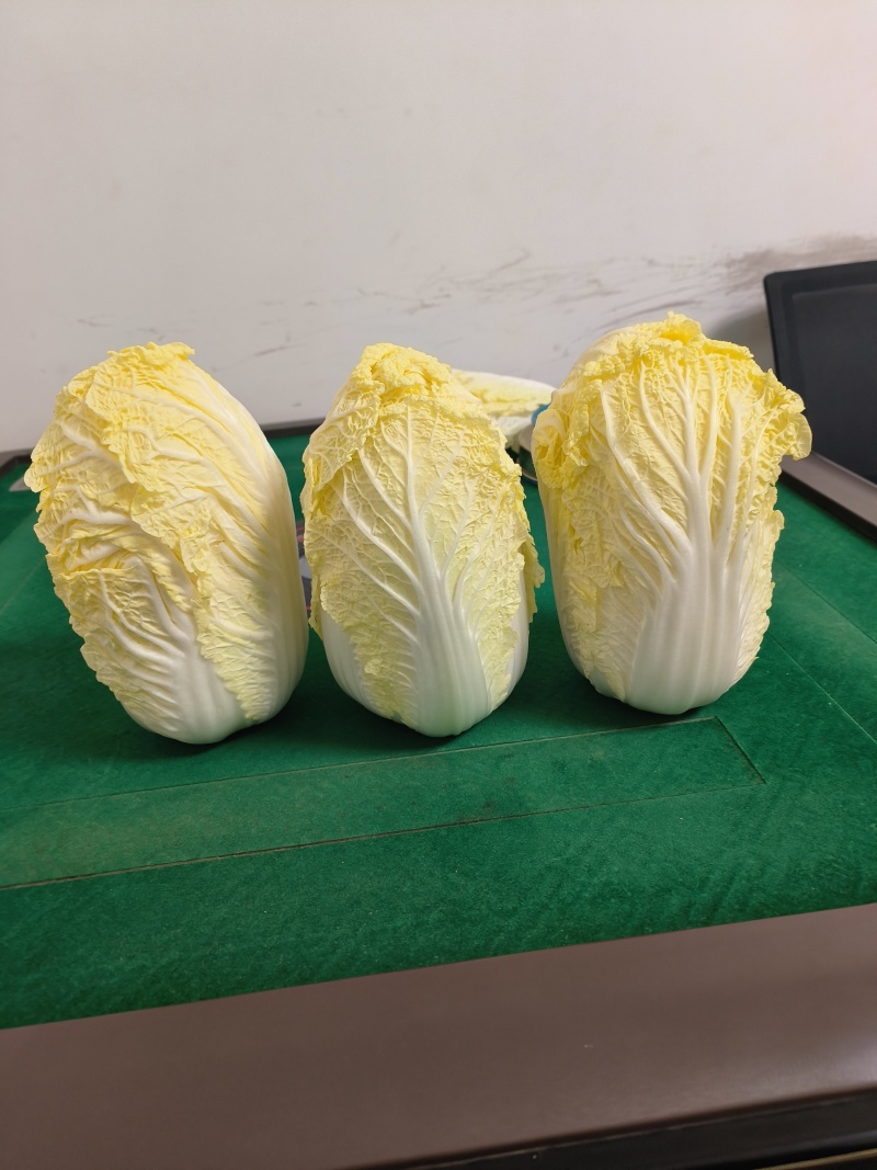 娃娃菜对接各大商超、电商档口