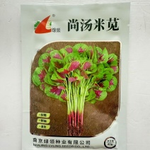 绿领尚汤米苋苋菜种子早熟耐热耐旱红苋菜种子圆叶白梗质嫩