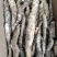 野生山药片，无硫