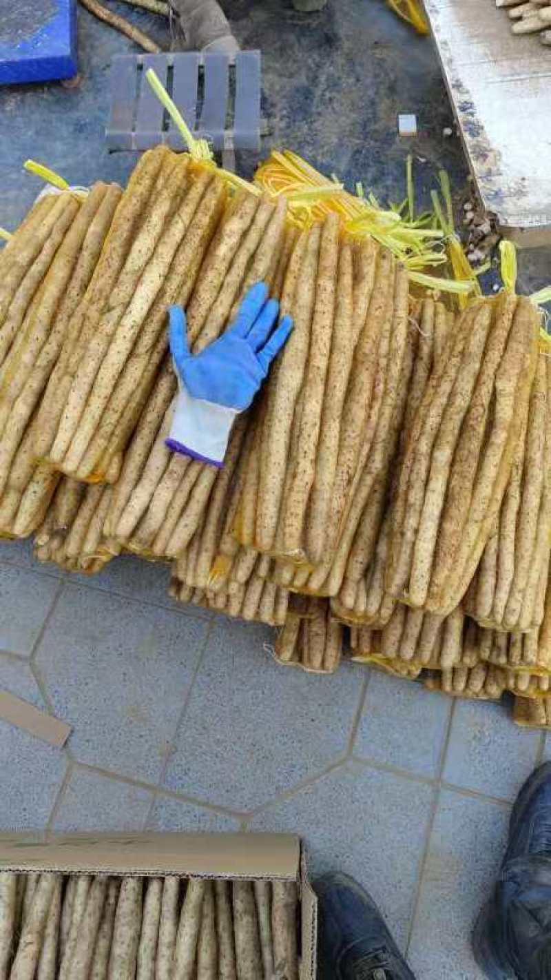 常年出售白嘴各种规格各种包装的货