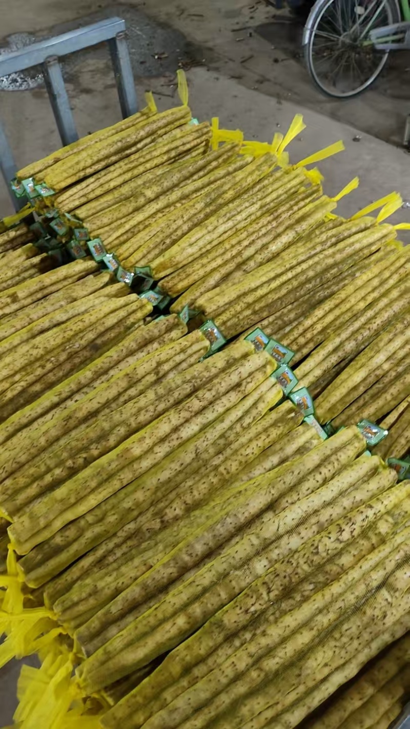 常年出售白嘴各种规格各种包装的货