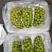 【推荐】辽宁冷库阳光玫瑰量大从优保质保量一条龙服务