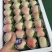 【丹东白草莓】精品白草莓，基地直发品质保障对接市场批发