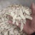 黄芪片，货源充足，发往全国各地量大从优，欢迎致电