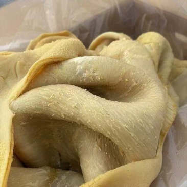 五香牛肚，新鲜现煮，纯干无冰，精修无油，实拍图片，全国均