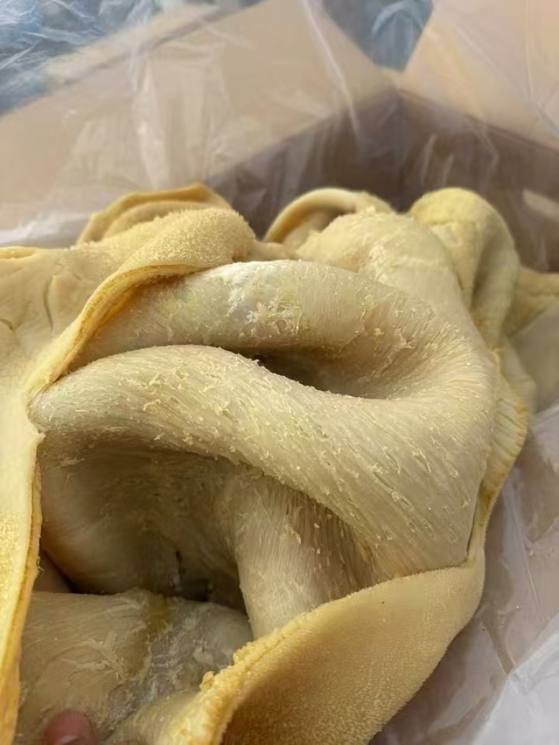 五香牛肚，新鲜现煮，纯干无冰，精修无油，实拍图片，全国均