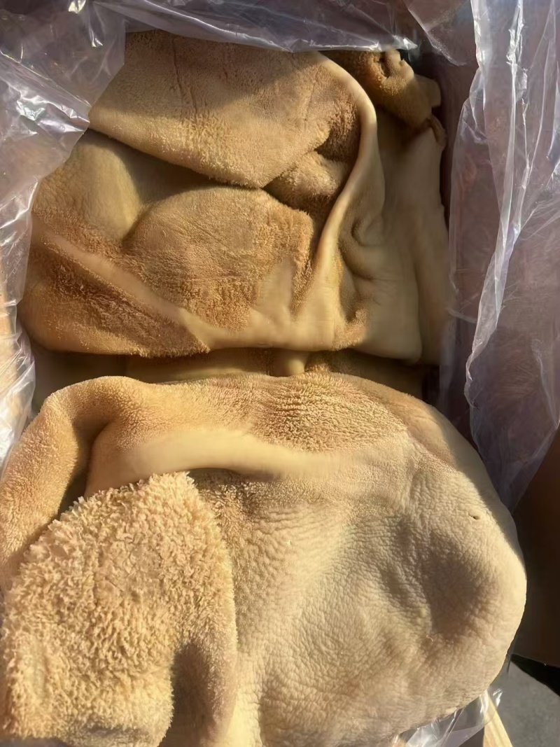 五香牛肚，新鲜现煮，纯干无冰，精修无油，实拍图片，全国均