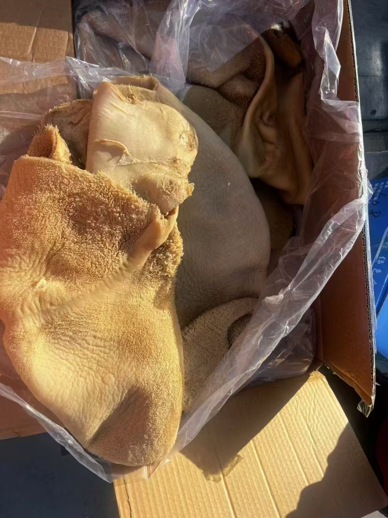 五香牛肚，新鲜现煮，纯干无冰，精修无油，实拍图片，全国均