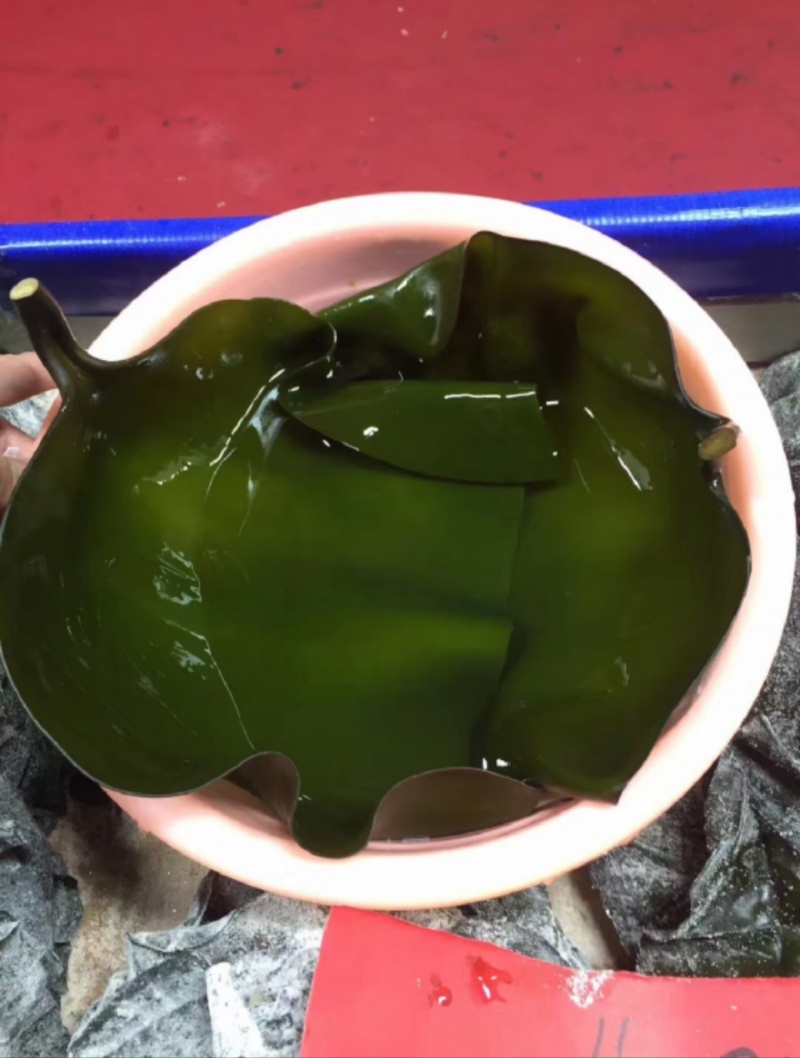 优选精品半干海带头日晒海带地摊展销会热卖货源产地现货