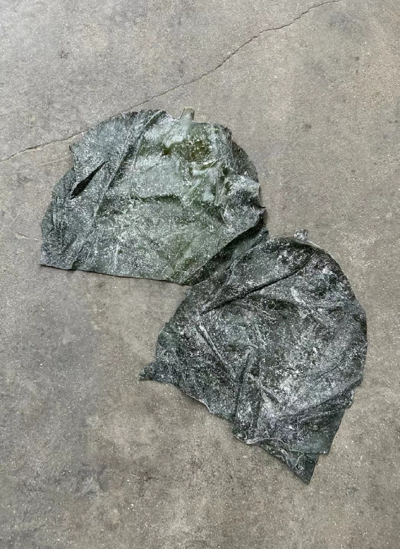 优选精品半干海带头日晒海带地摊展销会热卖货源产地现货