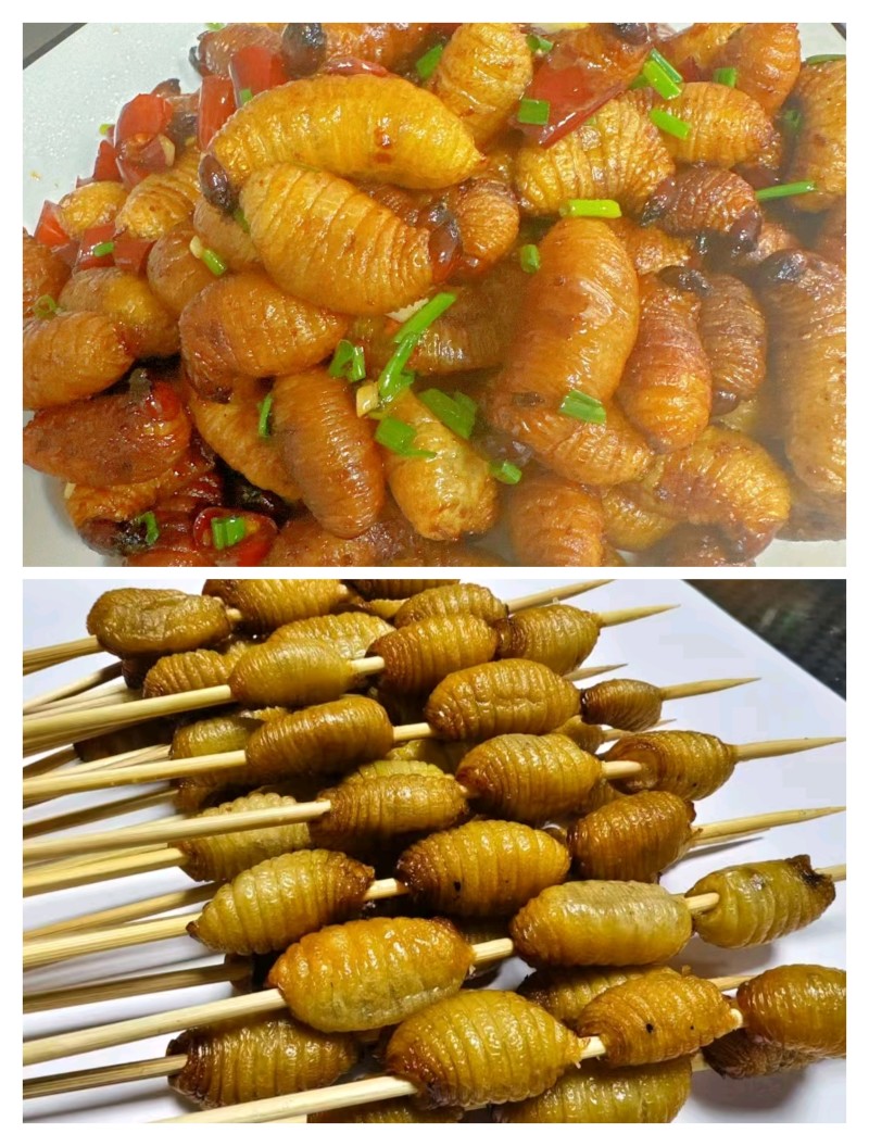 你好，老板，我是竹虫养殖户，一手货源，个大饱满，熟速冻。