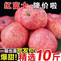 甘肃庄浪红富士苹果新鲜当季2024年新苹果整箱包邮大果直