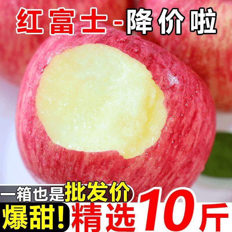 甘肃庄浪红富士苹果新鲜当季2024年新苹果整箱包邮大果直