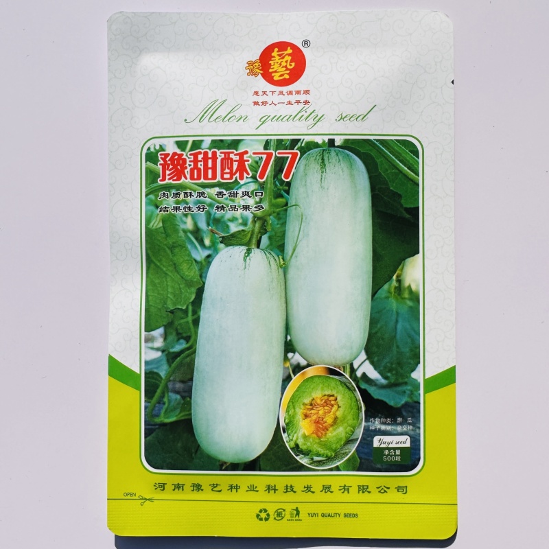 豫甜酥77甜瓜种子薄皮酥脆香甜糖度高短棒羊角酥甜瓜种子