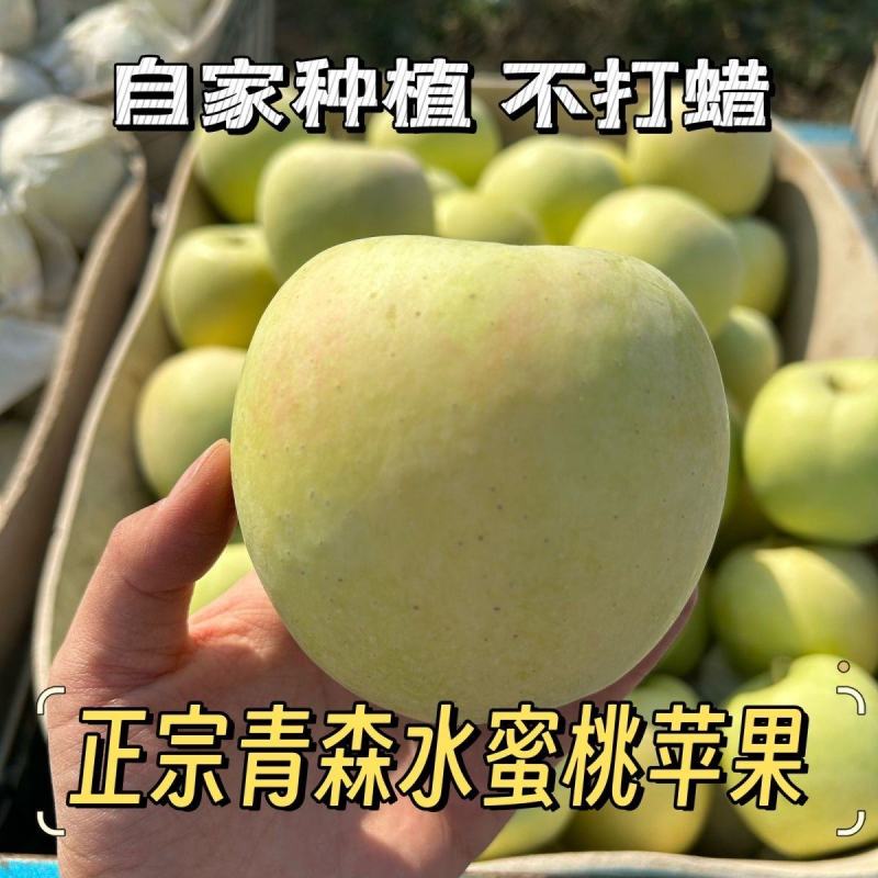 日本青森苹果水蜜桃苹果明月苹果纯甜酥脆新鲜水果当季苹果