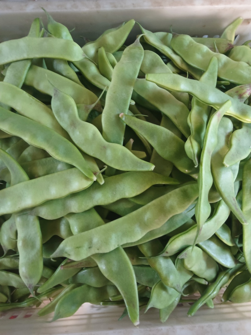 油豆角