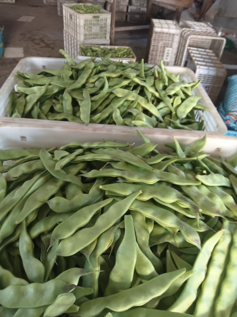 油豆角