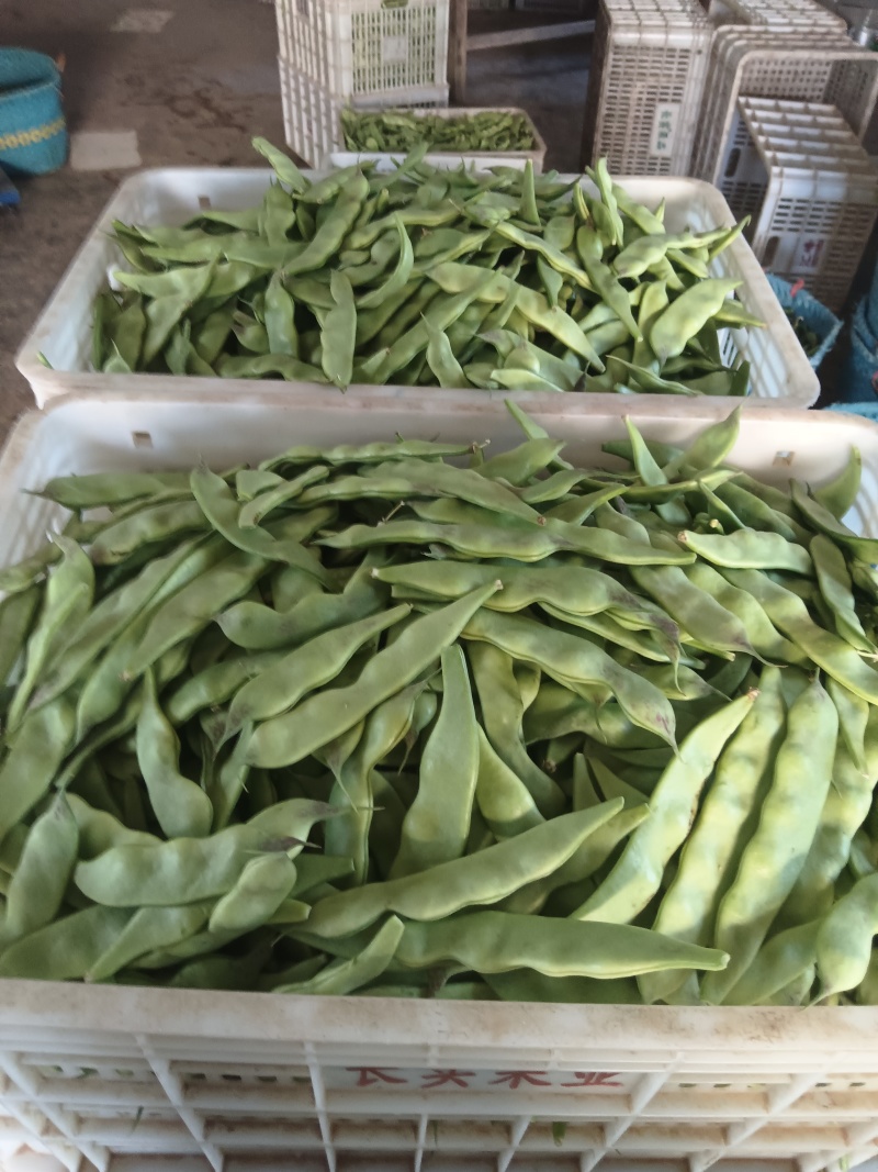 油豆角