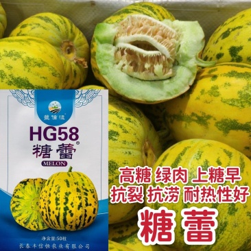 糖蕾甜瓜种子花皮绿肉高糖特甜上糖早露地抗裂