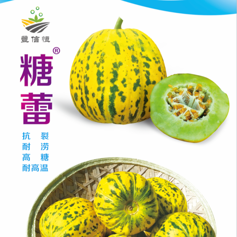 糖蕾甜瓜种子花皮绿肉高糖特甜上糖早露地抗裂