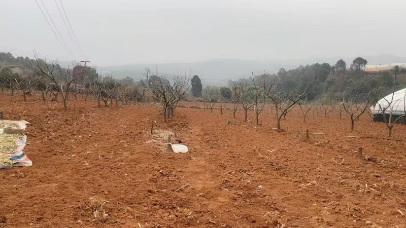 养殖场出租