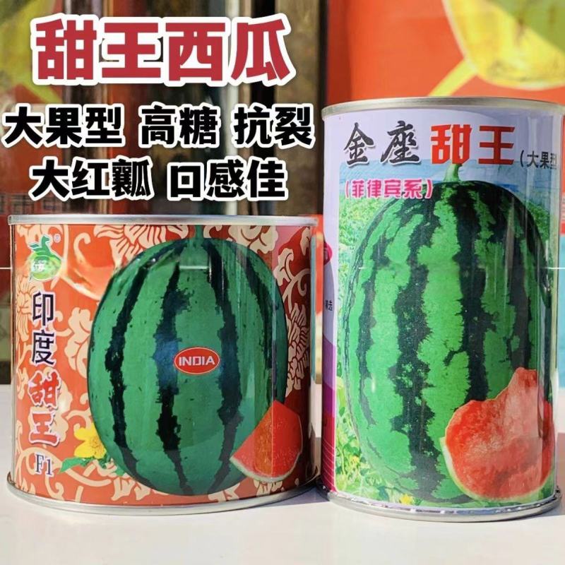 印度甜王西瓜种子菲律宾甜王西瓜种籽高产耐裂大红瓤西瓜种籽