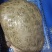 珍珠鳖批发零售，大量现货，一手货源量大从优