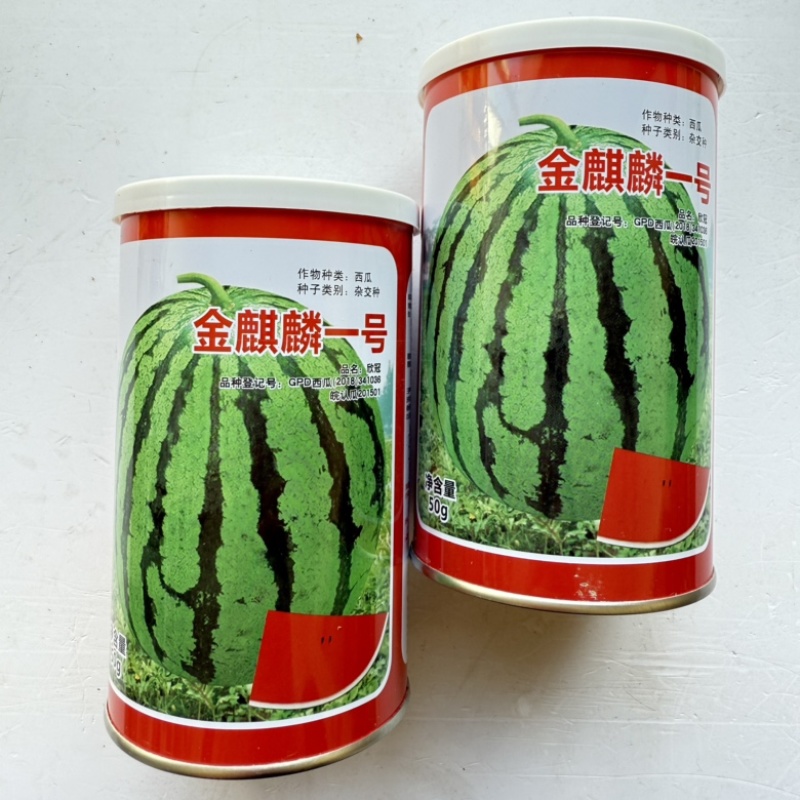 金麒麟一号西瓜种子早熟品种红瓤花皮品种种子