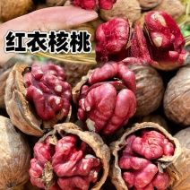 新货红衣核桃新疆正宗红皮核桃
