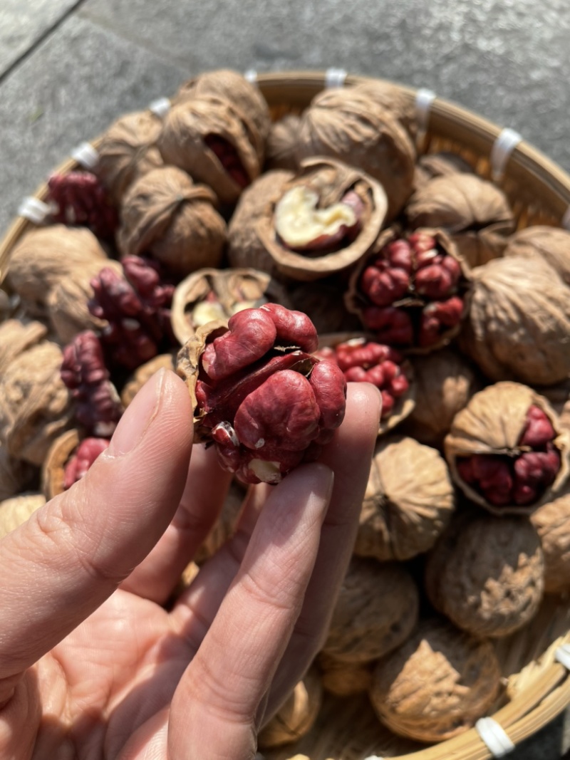 新货红衣核桃新疆正宗红皮核桃