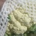 聊城库存有机花菜大量供应产地直发价格便宜欢迎来电