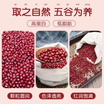 新红豆东北红小豆今年新鲜厂家直销红小豆批发特价