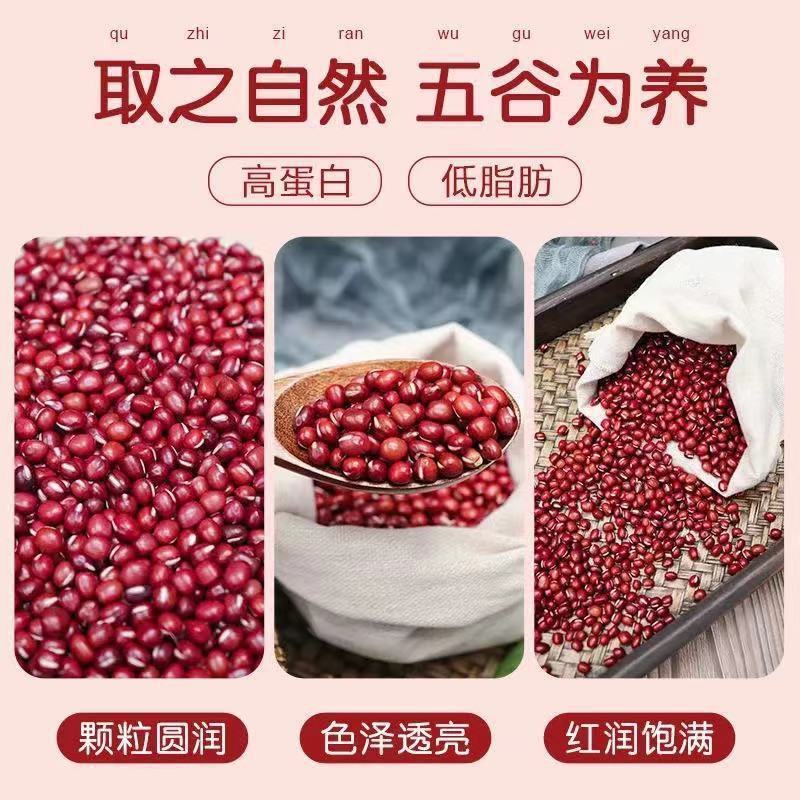 新红豆东北红小豆今年新鲜厂家直销红小豆批发特价