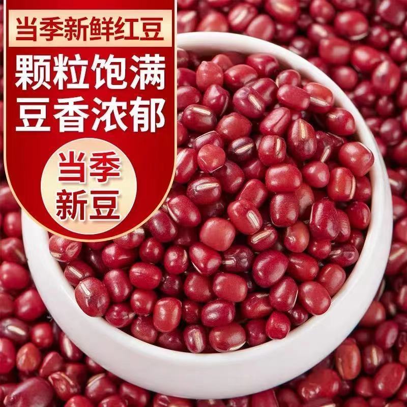 新红豆东北红小豆今年新鲜厂家直销红小豆批发特价
