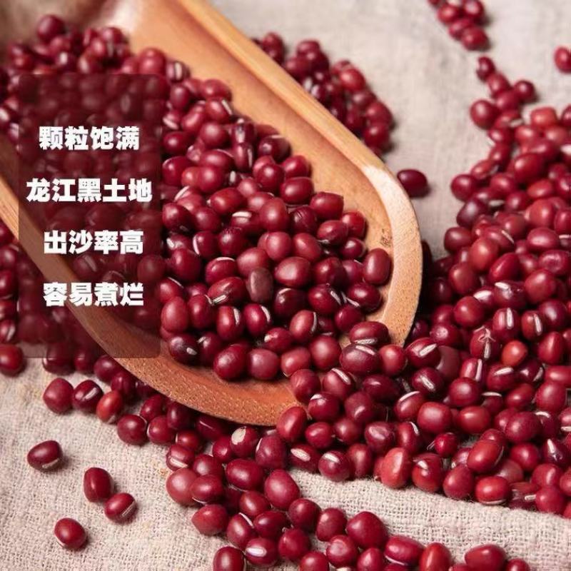 新红豆东北红小豆今年新鲜厂家直销红小豆批发特价