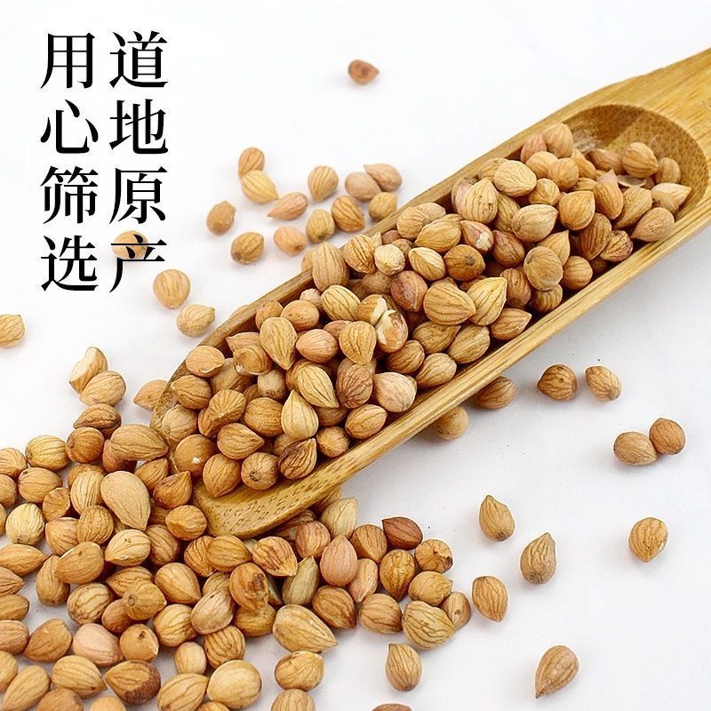 郁李仁中药材山梅子小李仁野生郁李仁李仁茶精选新货